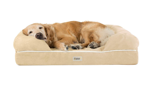 Best Dog Beds for Hip Dysplasia; dog 