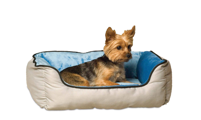 washable dog bed