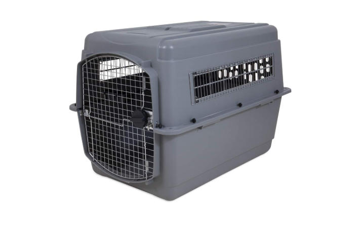 Best Dog Crates for Car Travel
