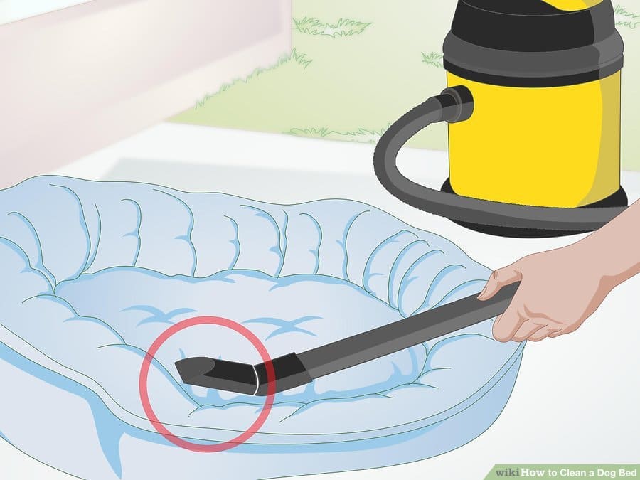 How to clean a dog bed