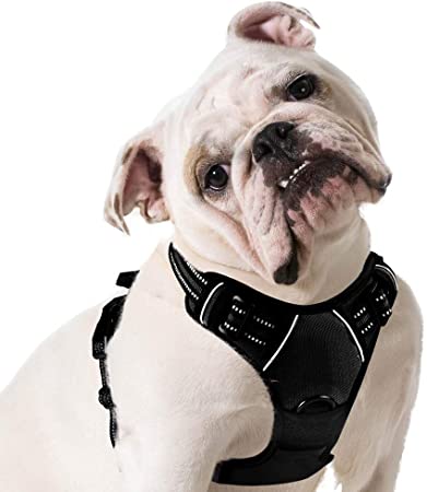 best all in one no pull dog harness