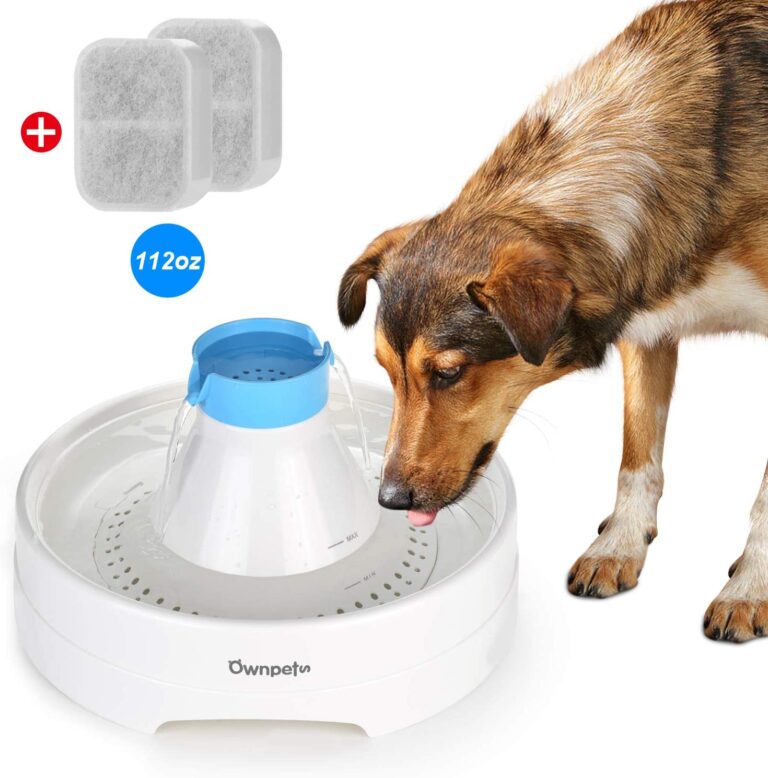 best automatic dog water fountains