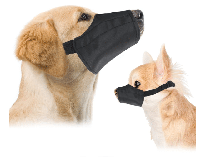 muzzle that allows dog to eat and drink