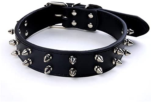 best leather studded dog collar