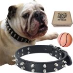 best spiked dog collars for protection